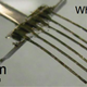 Image for article titled Robo-Whiskers and Three Other Cool, Creepy, Animal-Inspired Machines